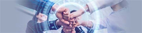 our-fields-of-activity