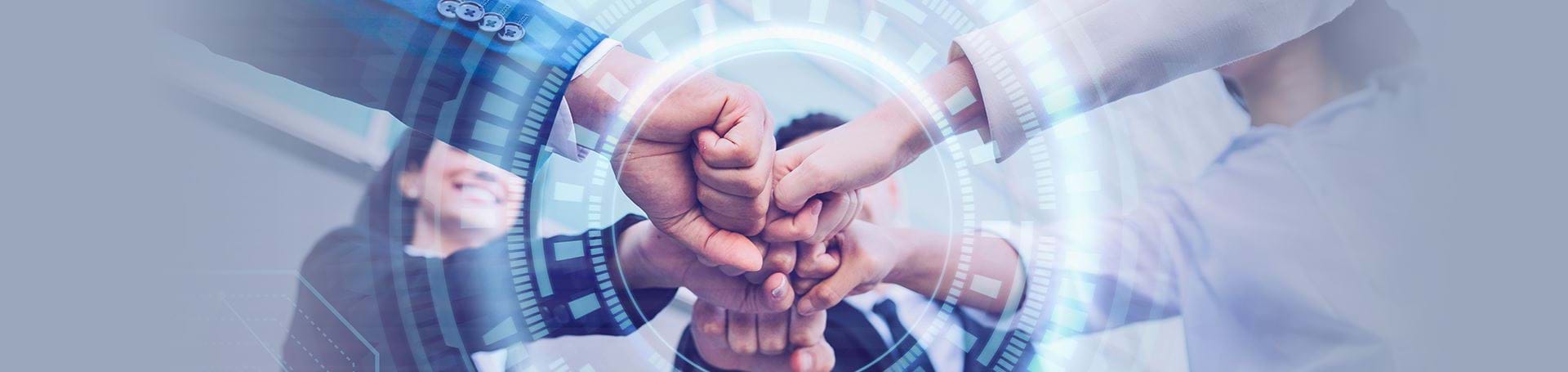 our-fields-of-activity